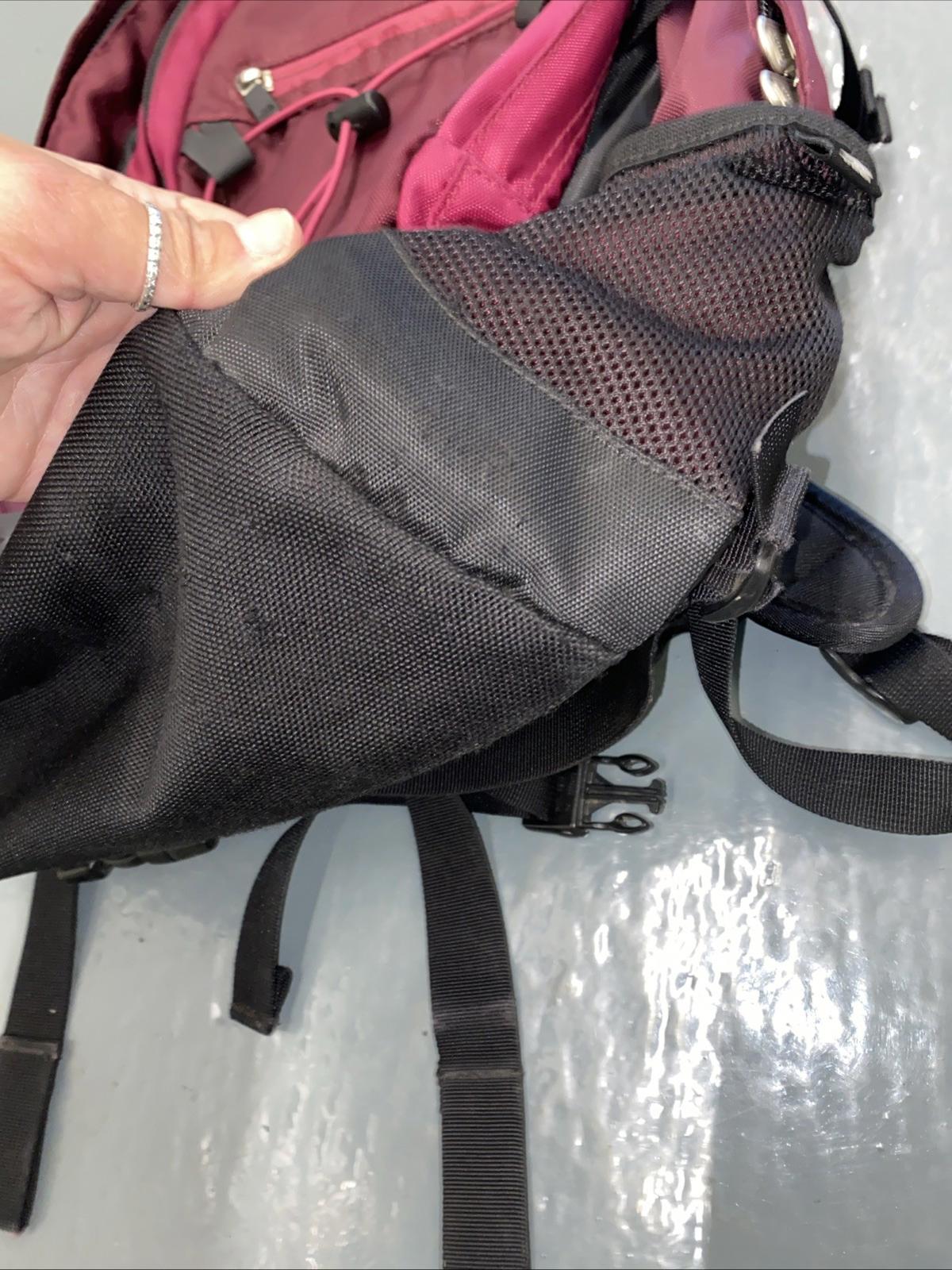 The North Face Isabella Backpack Violet Purple Fuschia