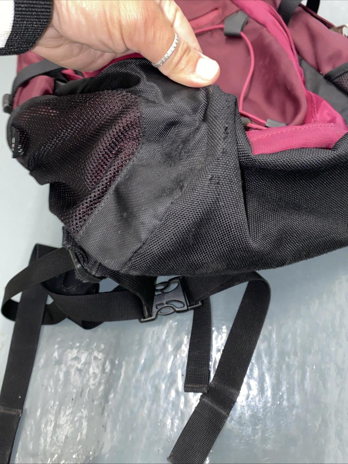 The North Face Isabella Backpack Violet Purple Fuschia
