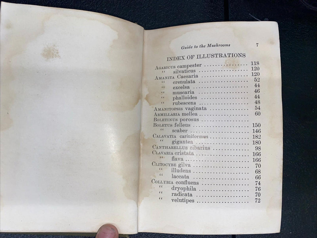 Antique Guide To The Mushrooms Hardcover Book By Emma L. Taylor Cole 1910