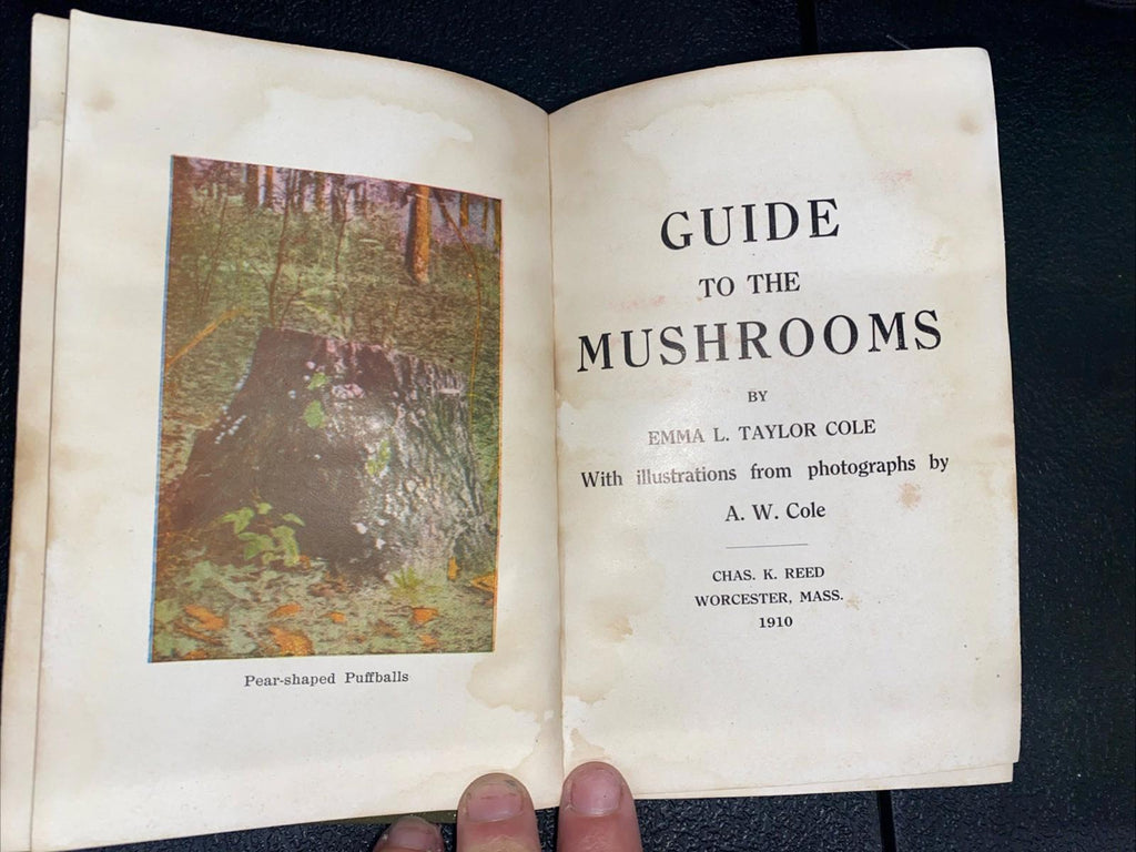 Antique Guide To The Mushrooms Hardcover Book By Emma L. Taylor Cole 1910