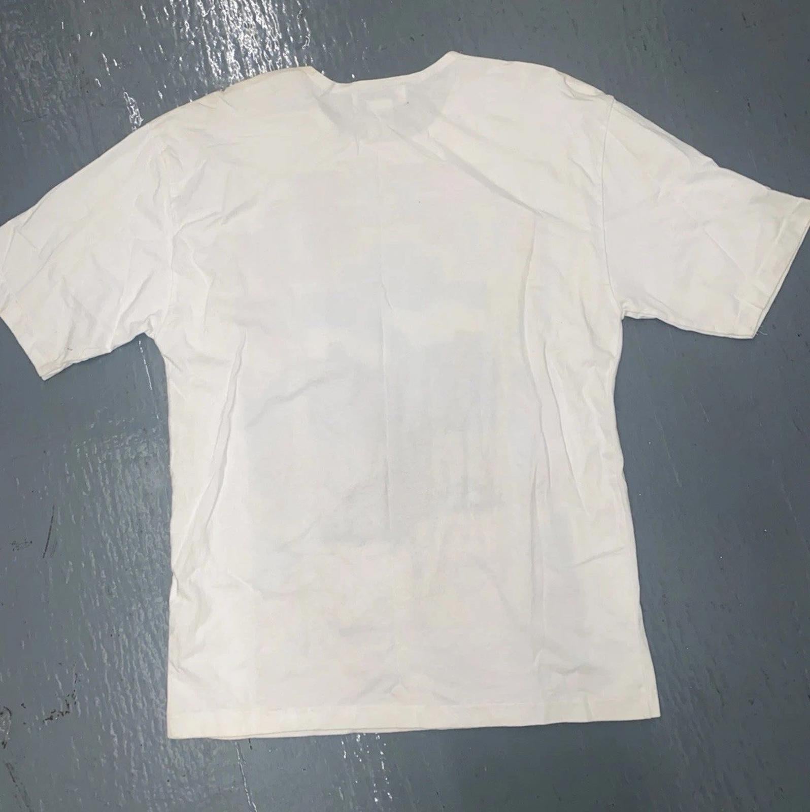 Vintage Carducci Western “Desert Rider” Dan Howard Painting Sequin T Shirt M