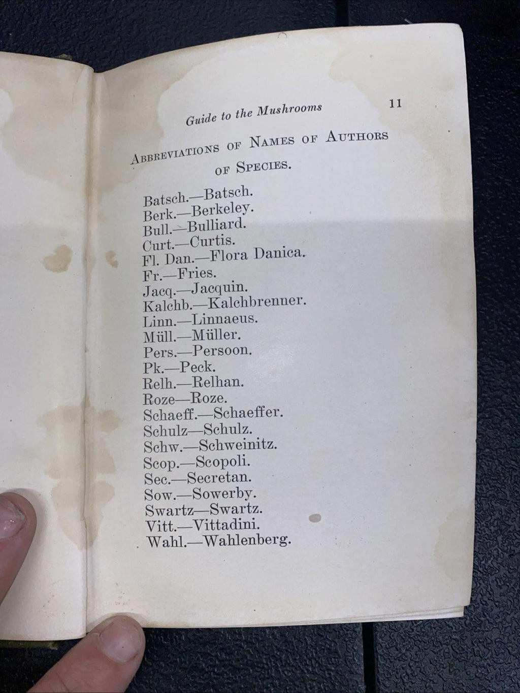 Antique Guide To The Mushrooms Hardcover Book By Emma L. Taylor Cole 1910